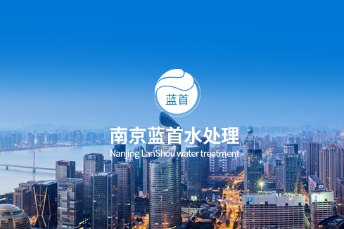 岭东建站-南京蓝首水处理设备有限公司