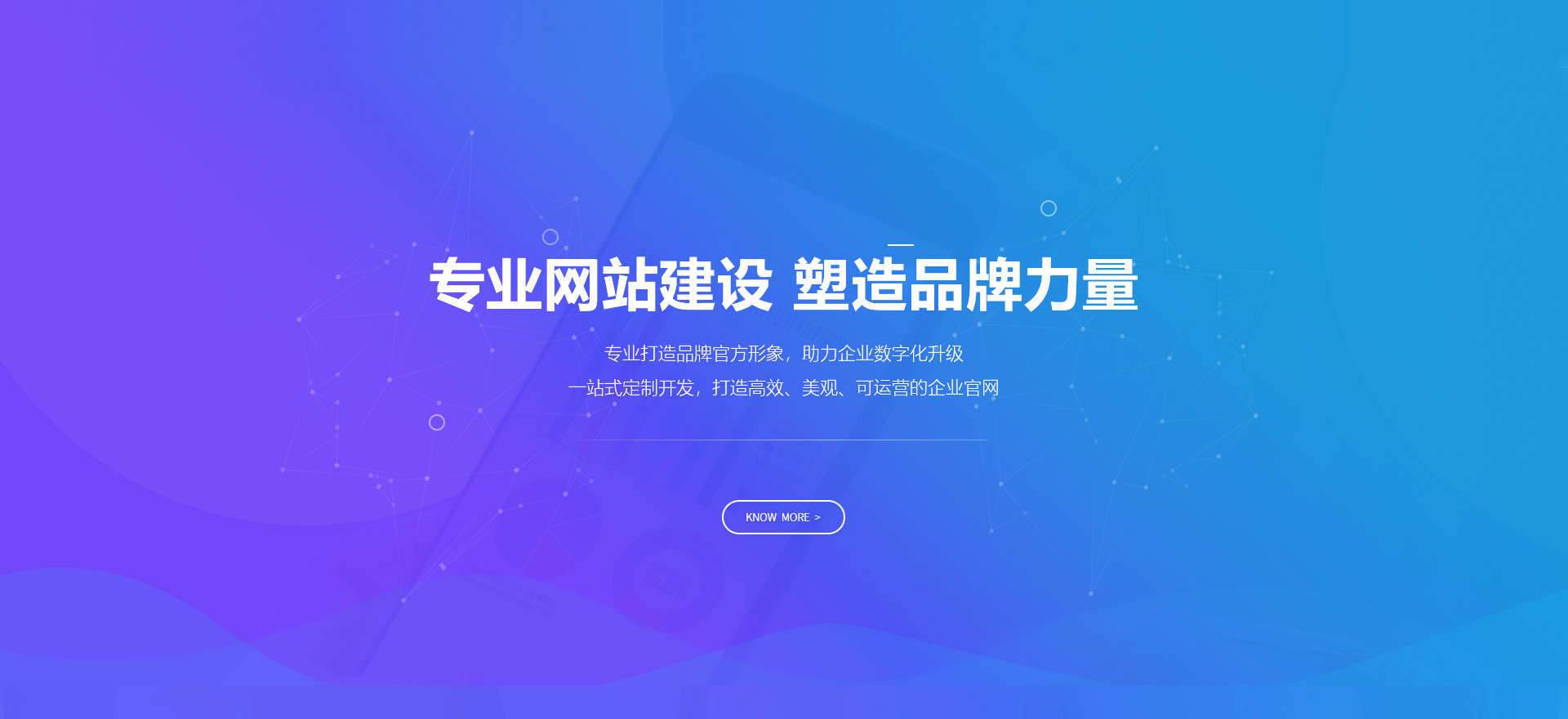 双鸭建站-专业网站建设 塑造品牌力量