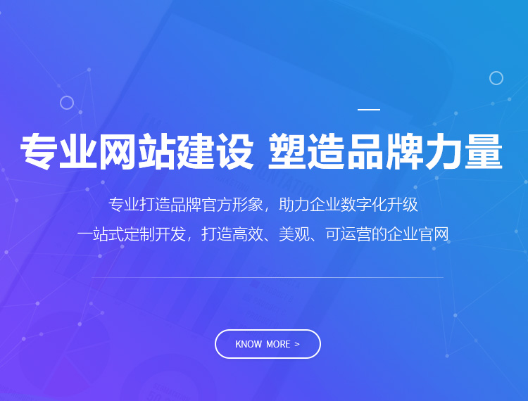 双鸭建站-专业网站建设 塑造品牌力量